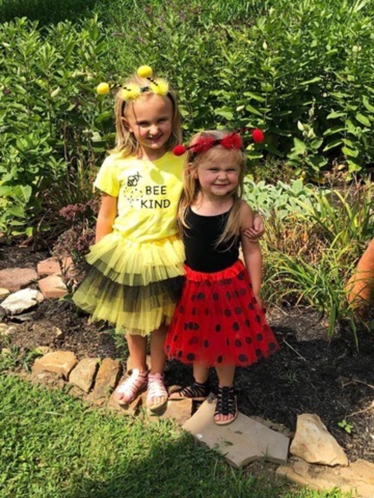 family halloween costume ideas ladybug and bumblebee