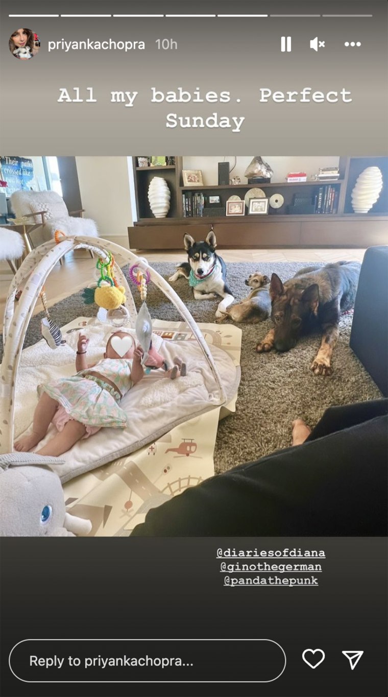 Chopra shared a pic of her daughter and family dogs hanging out at home.