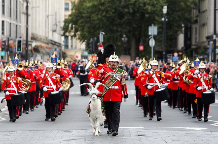 The marching band of the 3rd Battalion Royal Welsh, and their billy goat mascot, march to Cardiff Castle in south Wales on Sept. 11, 2022, ahead of the ceremony of the proclamation of Britain's King Charles III.