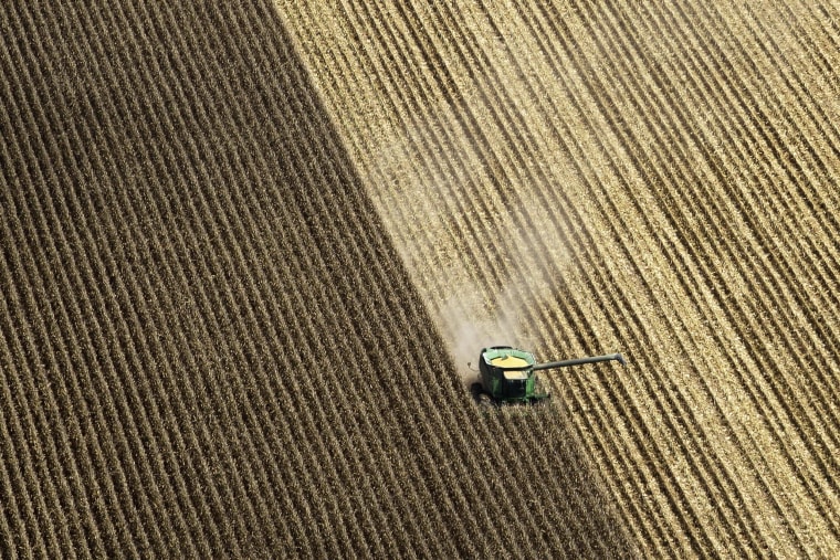 A combine harvests corn in a field near Coy, Ark., on Aug. 16, 2012.