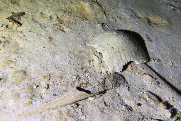 Imae: pre-historic human skeleton
