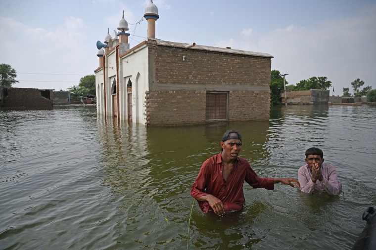 Image: Flooding in Pakistan after monsoon