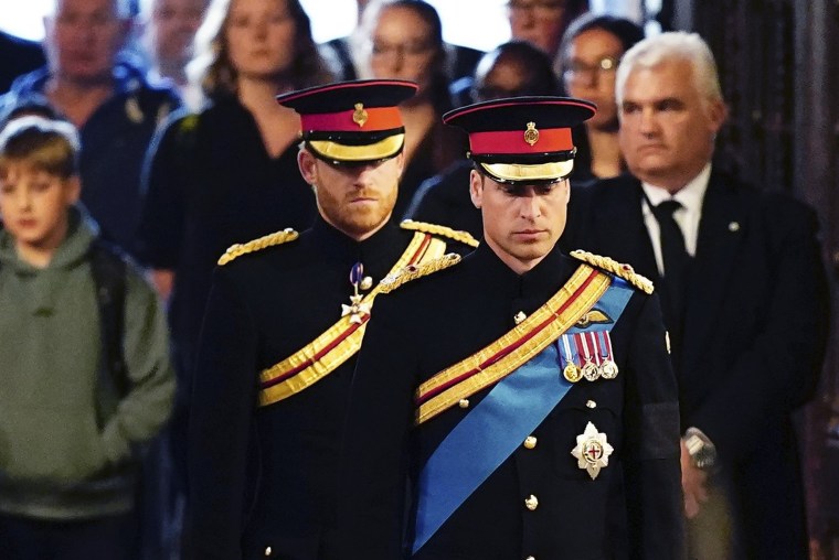 Prince William and Prince Harry in military attire