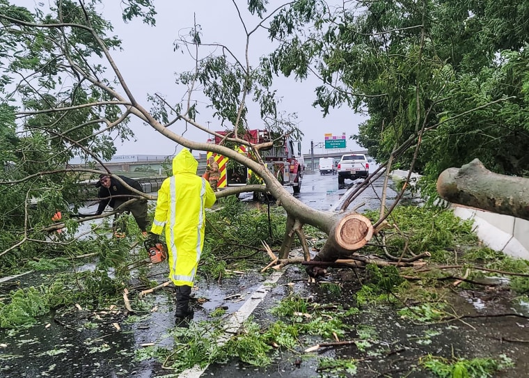 Firefighters work to remove a fallen tree from the road in Vega Baja, Puerto Rico, on Sept. 18, 2022.