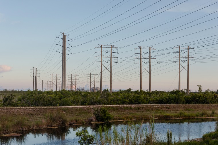 Electrical cables from Turkey Point Nuclear Power plant that power 1 million homes in South Florida on Sept. 11, 2022.