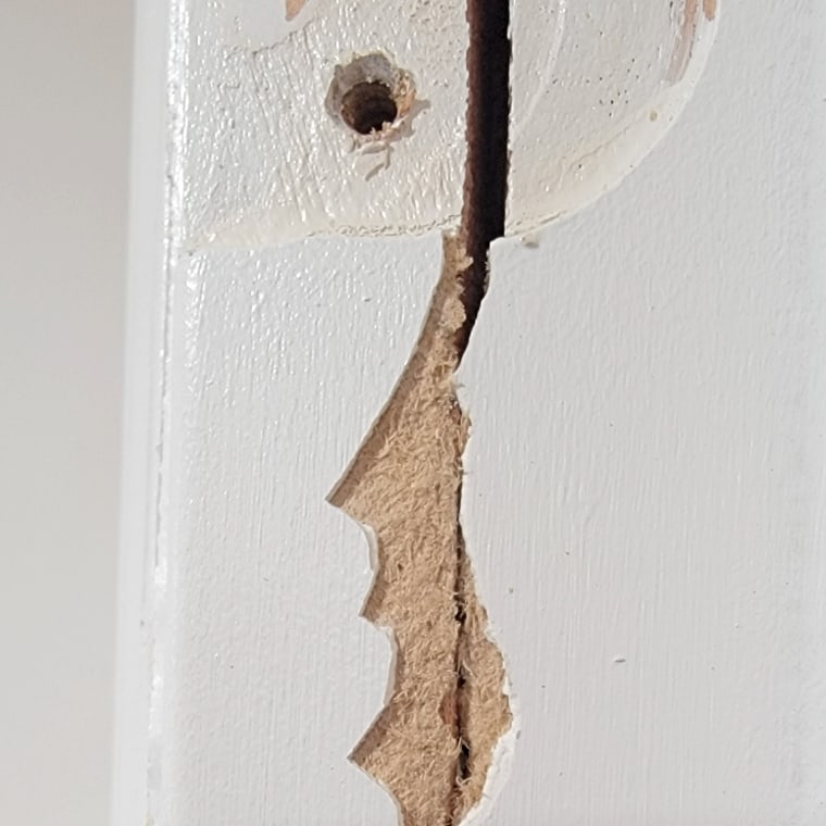 A section of a cracked door. "We tried to adjust the door so it would shut without rubbing on the floor. The door frame was made with particle board instead of normal wood." WHO SAID THIS?