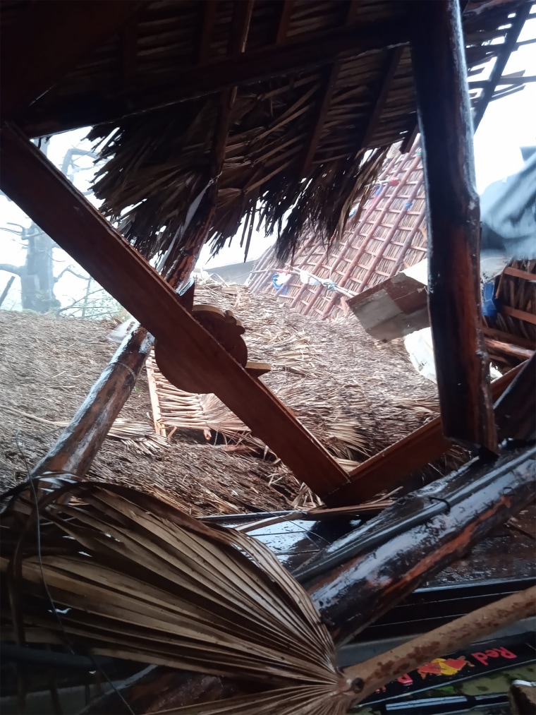 Cuban tobacco farm destruction after Hurricane Ian
