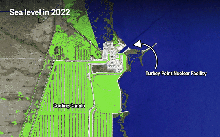 Satellite maps of the Turkey Point Nuclear Facility and the sea levels in 2022, the projected flooding in 2050, and possible annual flooding in 2100.