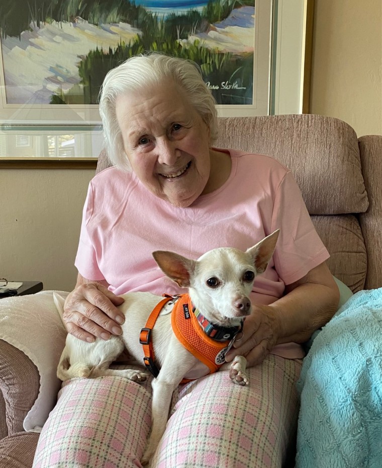 Joanna Carrington, 100 ans, a trouvé le chien parfait en Gucci, 11 ans – ce qu'il a prouvé quelques instants après être entré chez elle.