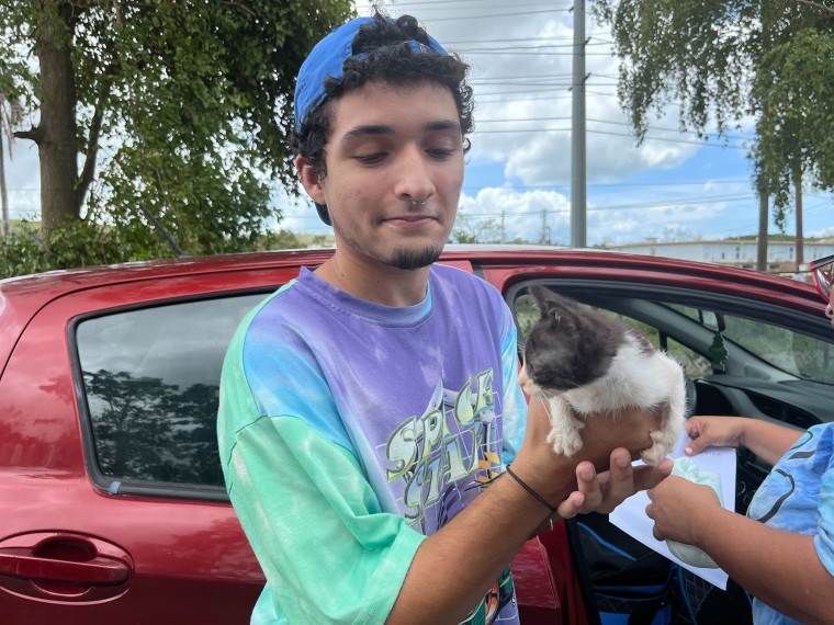 One sanctuary staff member holds a 3-week old kitten, who was found abandoned in an oil barrel at a mechanic shop.