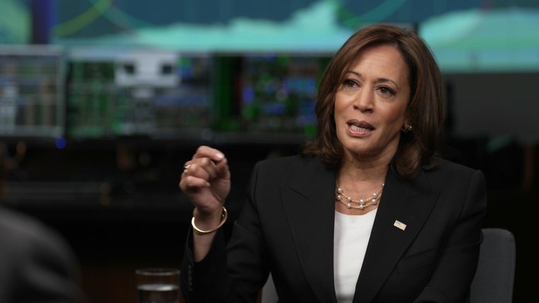 Vice President Kamala Harris  during an interview with NBC News' "Meet The Press."