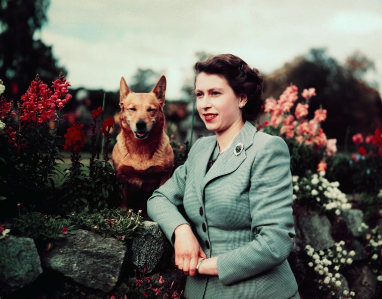Reina Isabel II junto a un perro en el Castillo de Balmoral