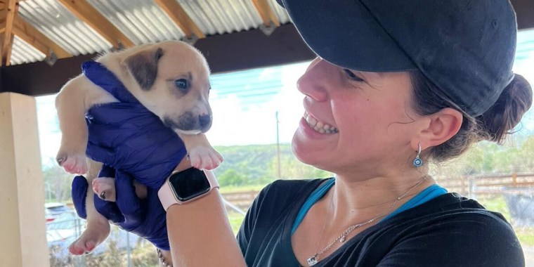 Volunteers, many of them without power and water themselves, are helping save homeless animals in Puerto Rico after the devastation caused by Hurricane Fiona.