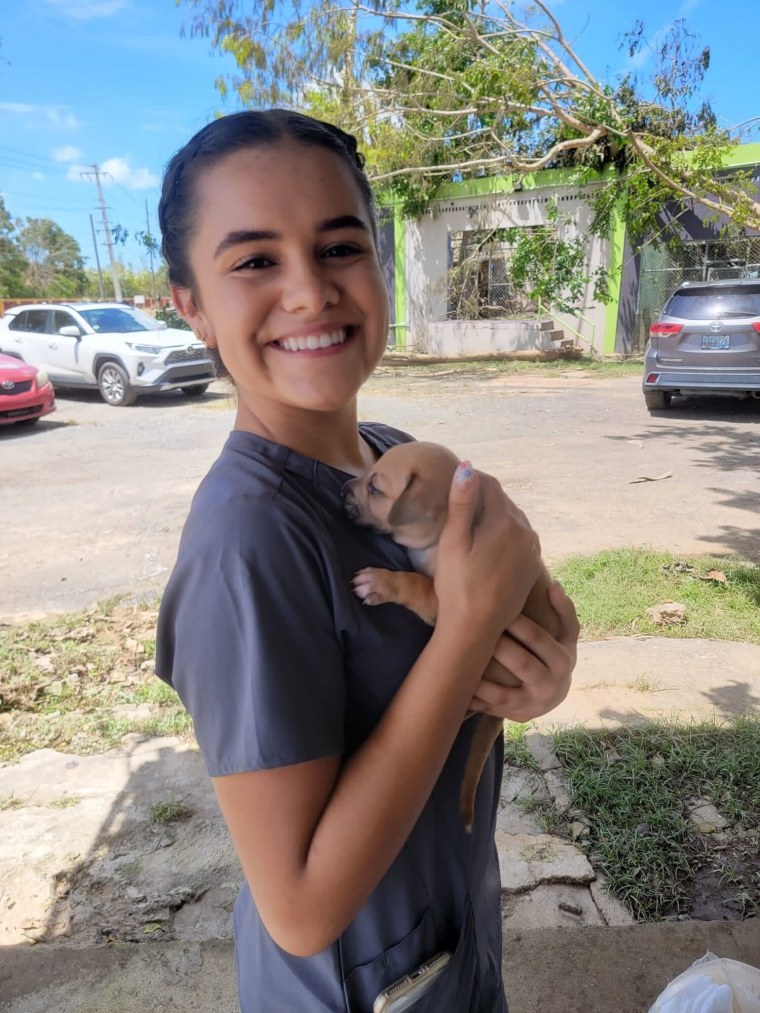 A volunteer holds a rescued puppy after Hurricane Fiona.