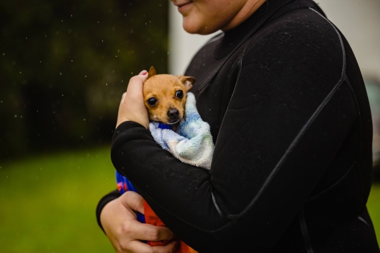 Mascotas rescatadas en el condado de Orange, Florida.