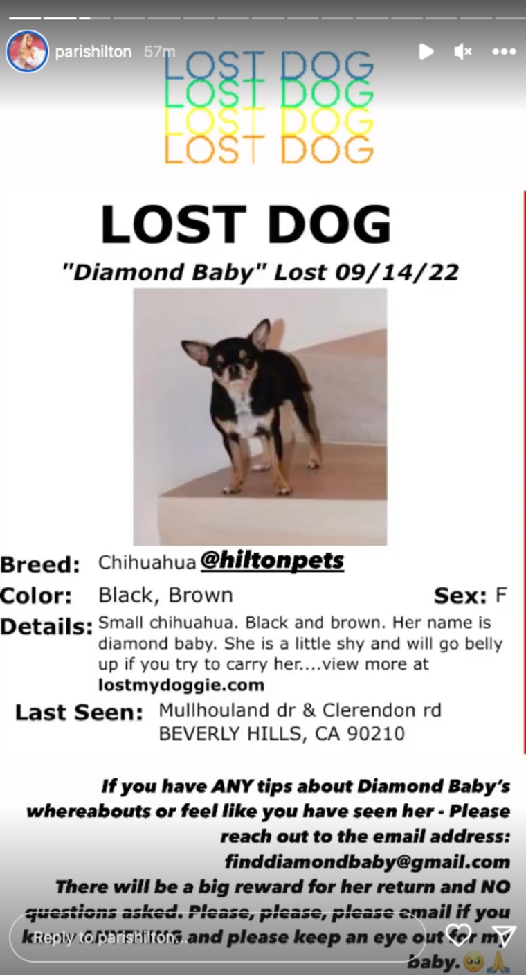 Paris Hilton shares details about her lost dog, Diamond Baby, on her Instagram Story.