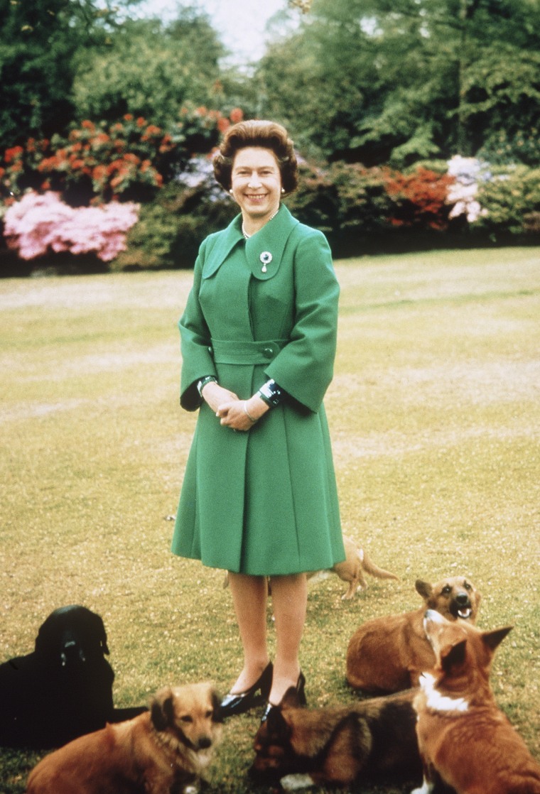 Queen elizabeth best sale and her corgis