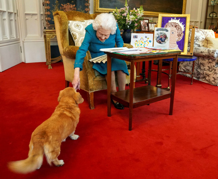 The queen's store corgi near me