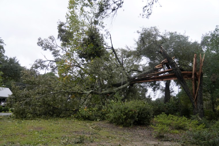 A massive tree split during the winds and rains of Hurricane Ian bends over power lines and spills out into the street, on Friday, Sept. 30, 2022, in North Charleston, S.C.