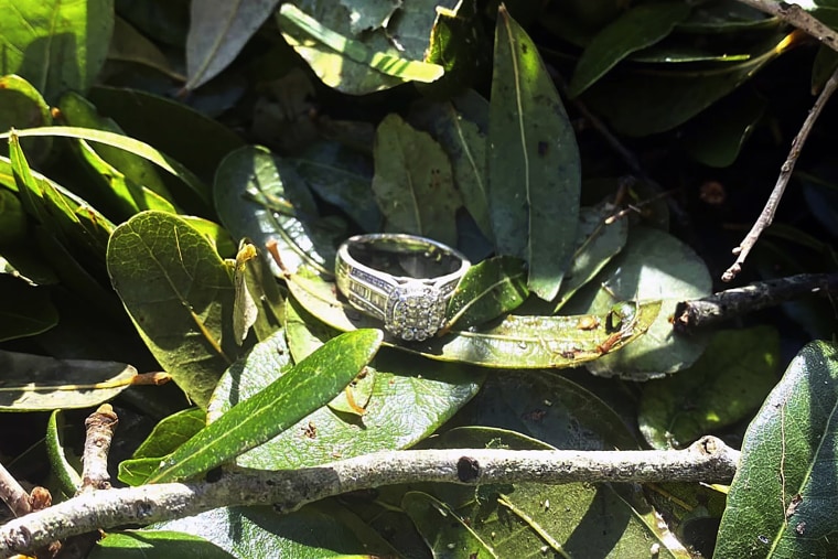 Ashley Garner's lost wedding ring lying in a brush pile after Hurricane Ian passed through Fort Myers.