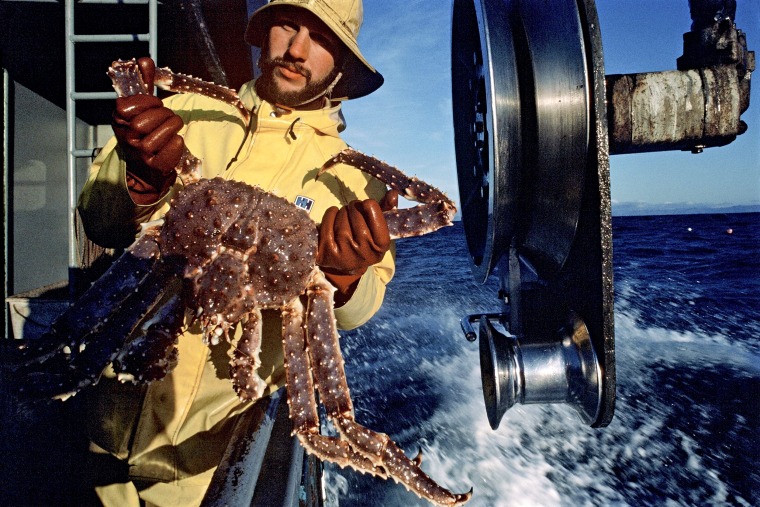 A deckhand holds up a king crab while fishing in the Bering Sea