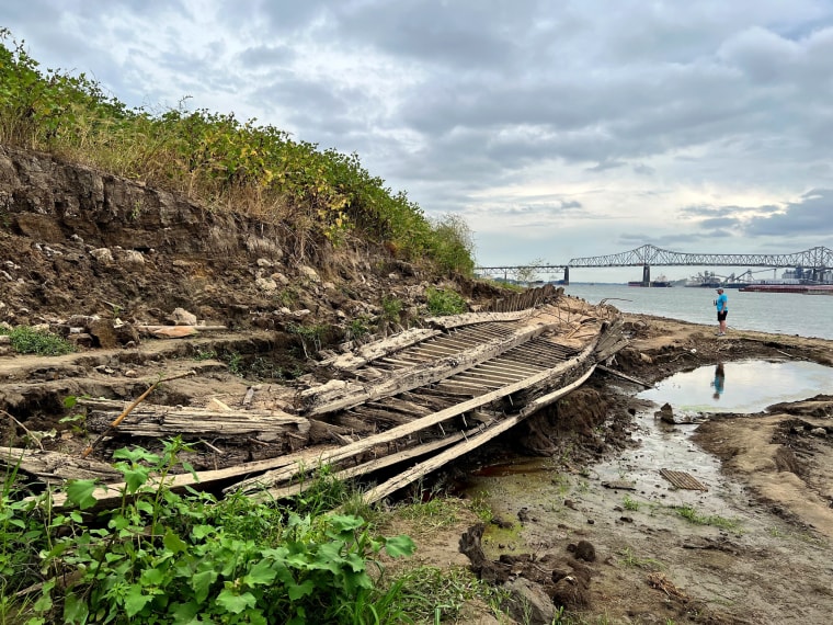 A man walking along the Mississippi River in Baton Rouge, La., stops to look at a shipwreck revealed by the low water level