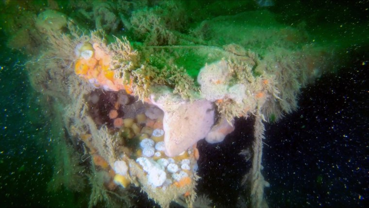 The torn deck plating of the World War II shipwreck V-1302 John Mahn in the Belgian part of the North Sea.