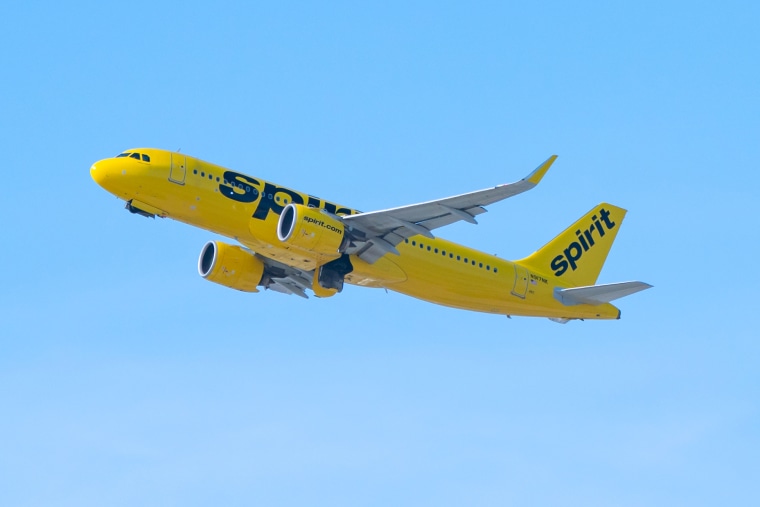 A Spirit Airlines plane takes off from Los Angeles international Airport