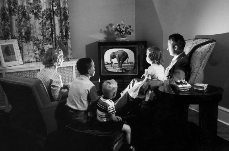 Image: A family watches a television show where an elephant performs tricks.