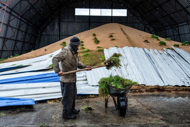 A worker shovels grain into a wheelbarrow after it was ruined when a storage barn was damaged on Oct. 23, 2022, in Izyum, Ukraine.