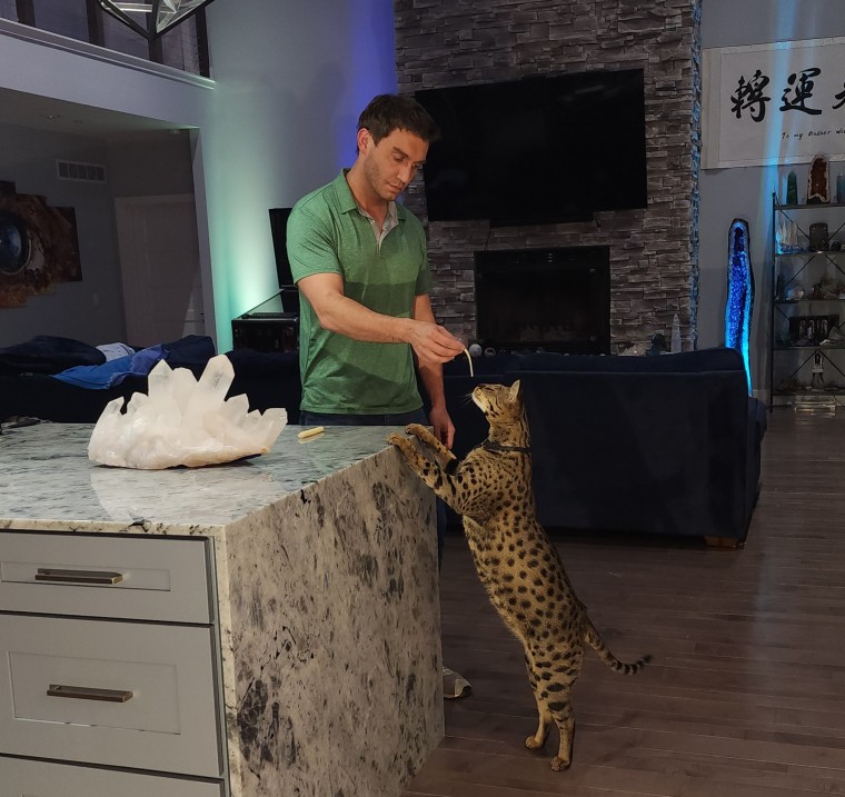 Fenrir loves eating and can reach countertops, so Powers has to be careful to keep food under lock and key unless it's time for a treat.