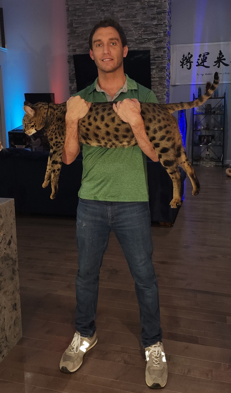 Dr. Will Powers holds Fenrir, an F2 Savannah cat, the world’s tallest living cat according to Guinness World Records.