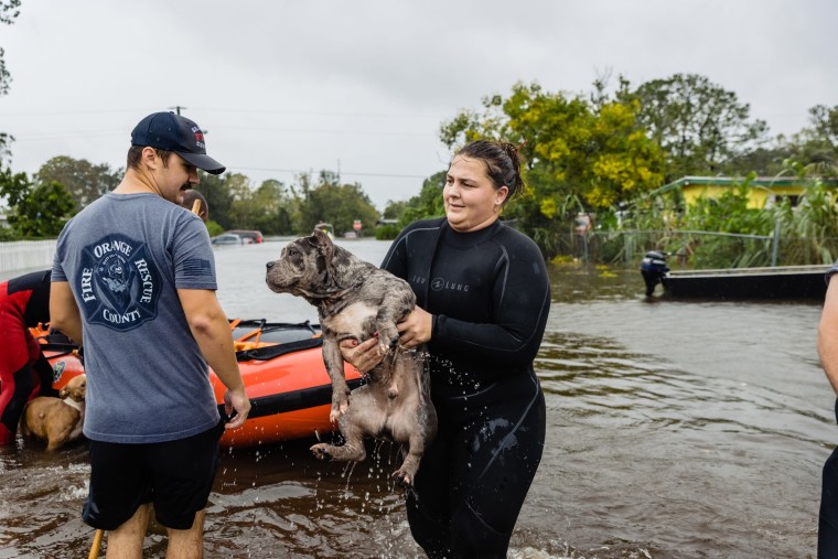 Hurricane Ian: Floridians rescue dogs and cats amid flooding