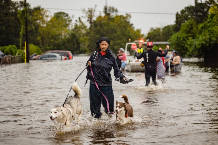 Not a single dog seemed panicked and almost seemed appreciative during rescues following Hurricane Ian, according to Capt. Greg Hubbard of Orange County Fire Rescue. 