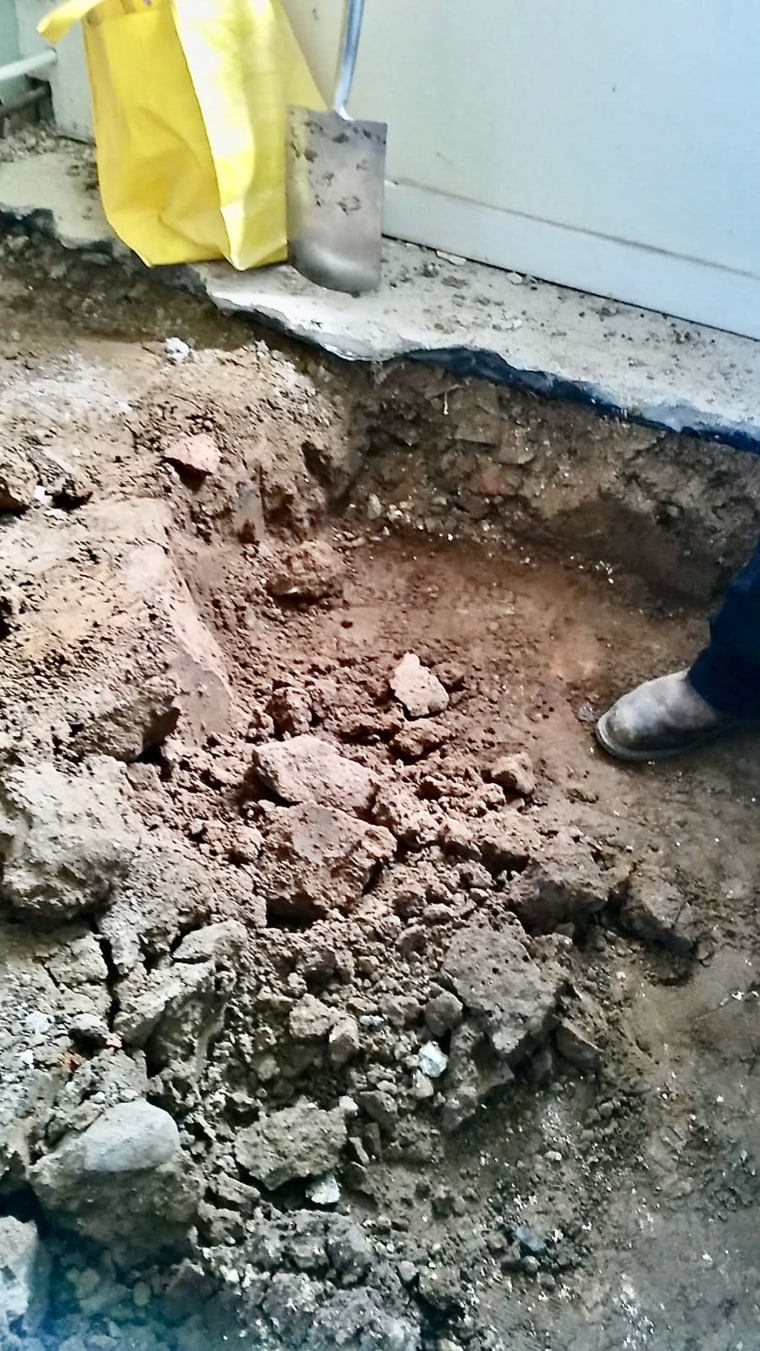 Coins worth up to $290,000 found under kitchen floorboards