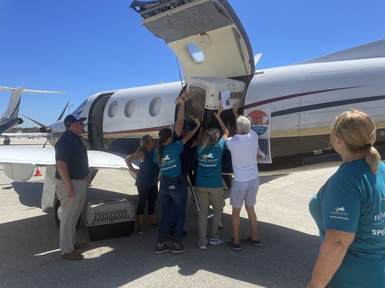 Animal rescuers in Naples, Florida, load adoptable dogs and cats on a plane bound for Delaware on Oct. 3, 2022.
