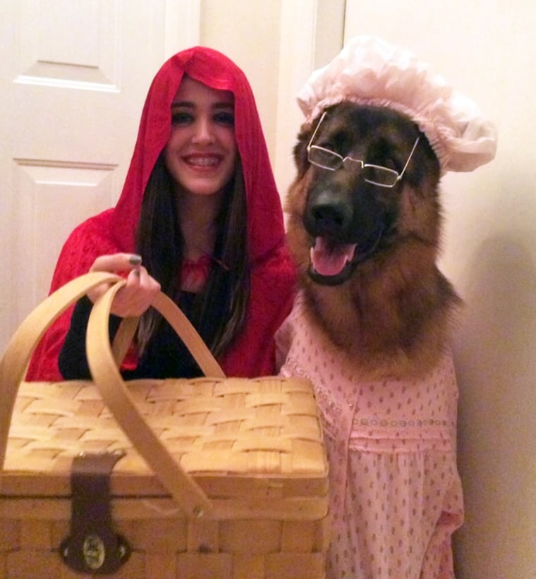 LIFESTYLE — redbritain  Food costumes, Animal costume, Winter jackets