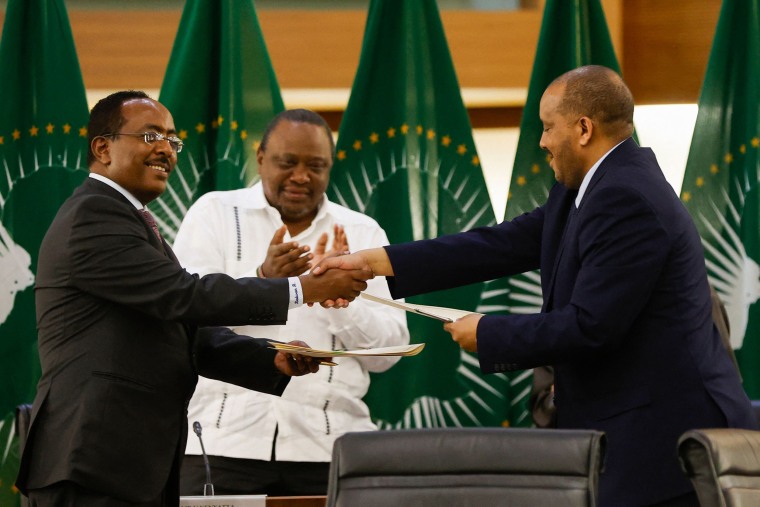 Redwan Hussien Rameto, Representative of the Ethiopian government, and Getachew Reda, Representative of the Tigray People's Liberation Front (TPLF), shake hands after signing a peace agreement between the two parties in Pretoria 