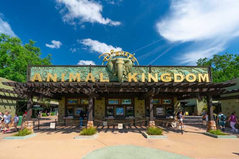 Disney World's Animal Kingdom Theme Park.