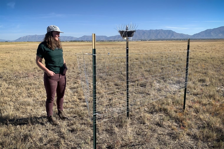 Annie Putman, a USGS researcher, stands with a dust-capturing sensor. Researchers suspect suburban communities north of Salt Lake City could be receiving the majority of the dust that blows off the lake.