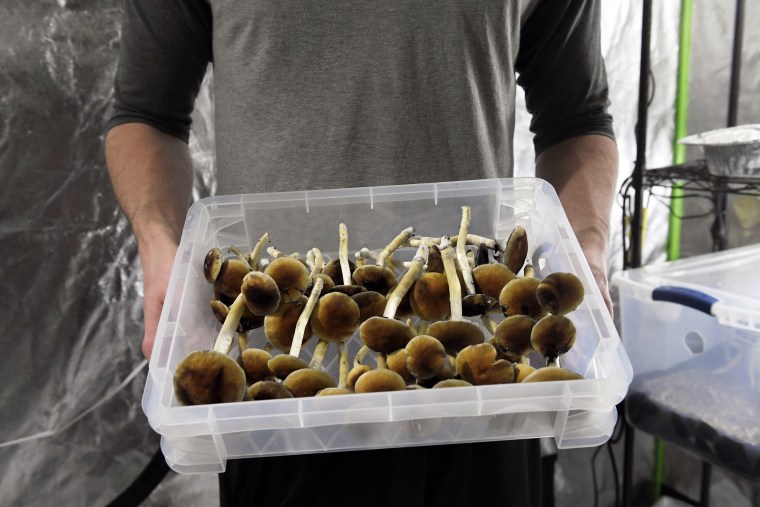 Colorado legalized 'magic mushrooms.' Could the rest of the U.S. follow?