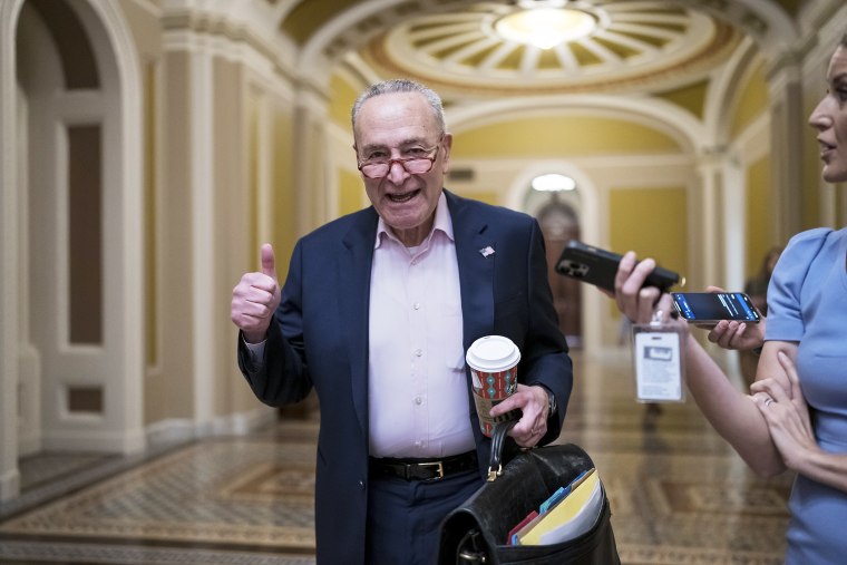 Senate Majority Leader Chuck Schumer returns to the Capitol on the morning after Election Day.