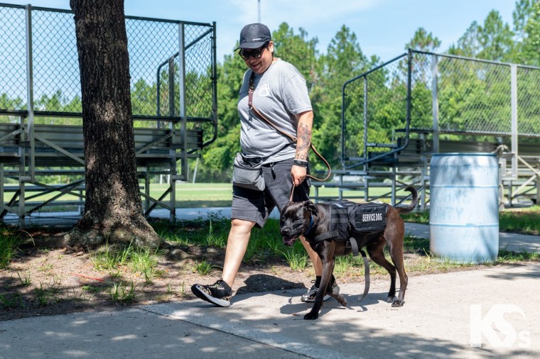 Alejandra Figueroa, a Mexican American veteran, walking with Hardee, a black Labrador mix.