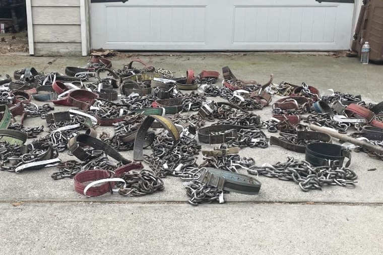 Dog collars seized in connection with a Georgia man who was arrested for allegedly breeding and training over 100 pit bulls for dog fighting.