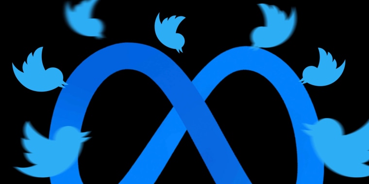 Photo Illustration: Multiple Twitter logo birds attacking the Meta logo