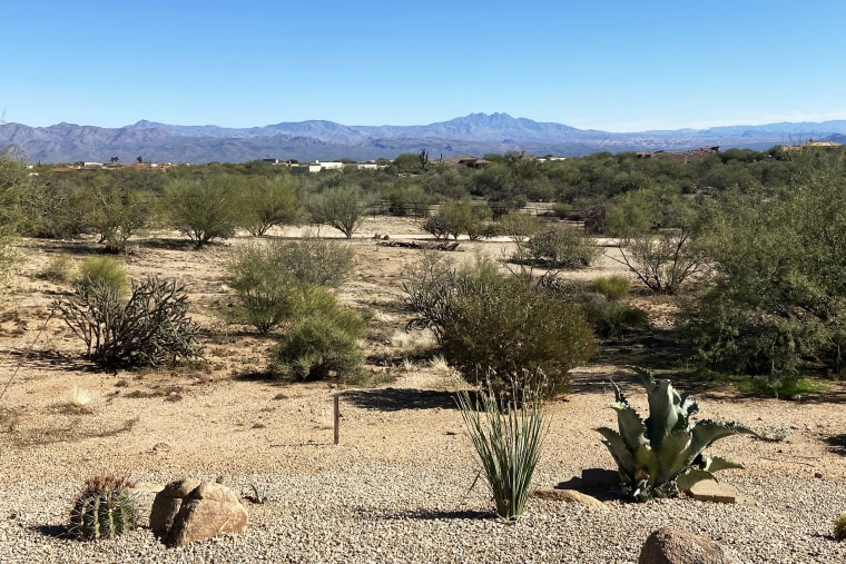 Rio Verde Foothills.