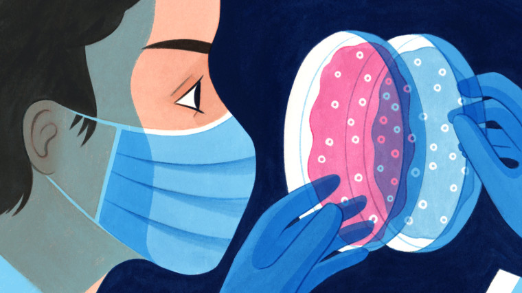 Illustration of a medical researcher in a mask comparing two different petri dishes containing cultures.