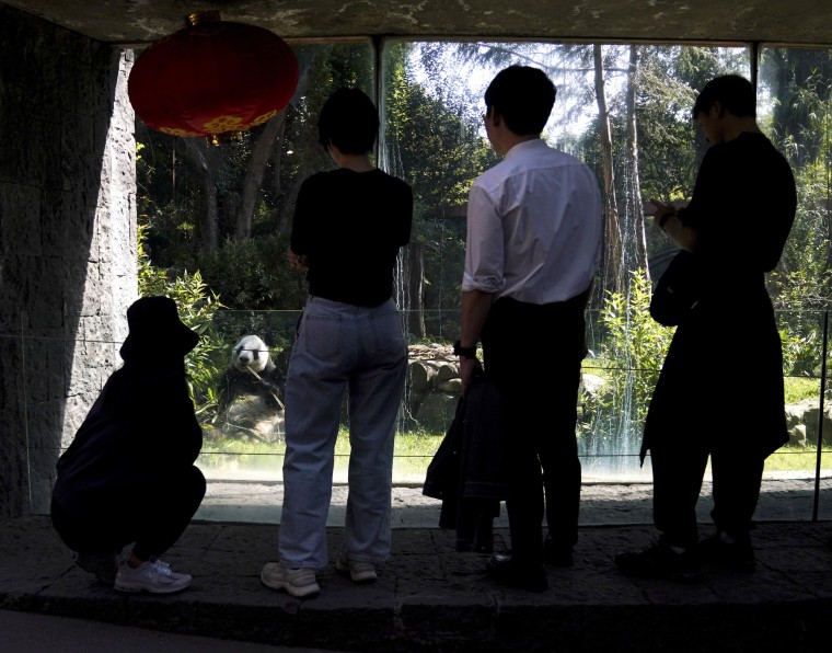 Visitors watch Xin Xin inside her enclosure at the Chapultepec Zoo