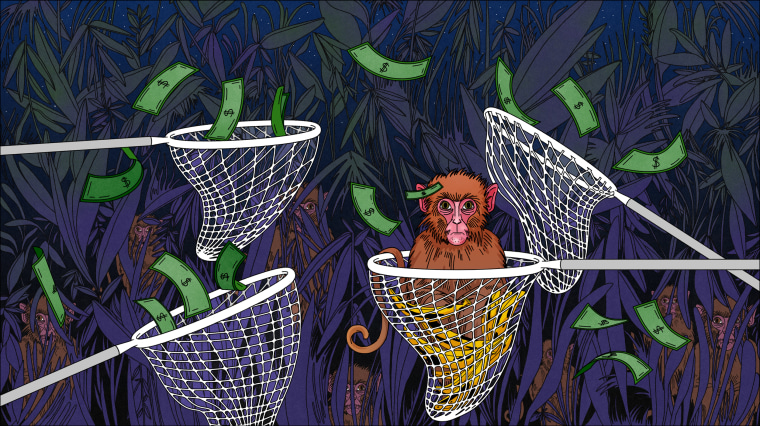 Illustration of a monkey caught in a poachers net, with other nets attempting to catch dollar bills, and monkeys hiding in the bushes.