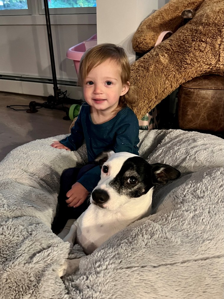 Patti Murin and Colin Donnell's daughter, Cecily, loves spending time with her family's dogs. Here, she snuggles with Petey in Petey's dog bed.